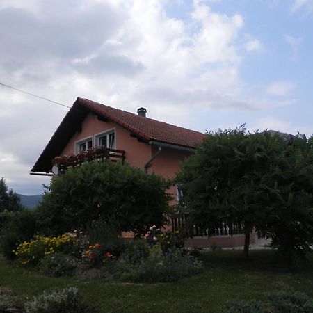 Guesthouse Blazenka Hodak Селиште-Дрежничко Экстерьер фото