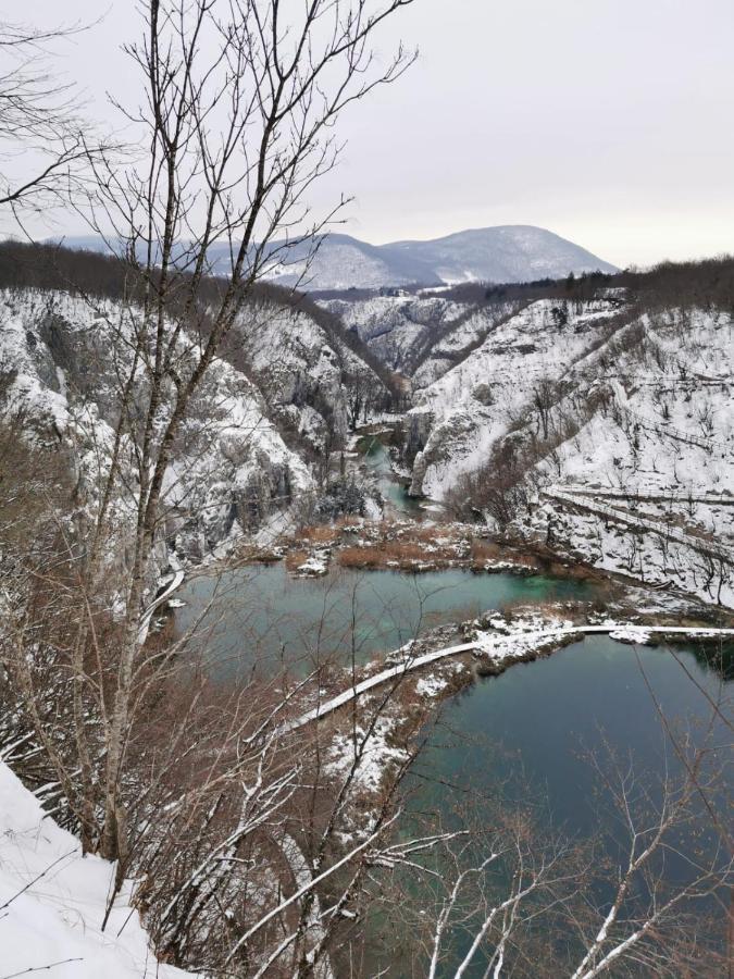 Guesthouse Blazenka Hodak Селиште-Дрежничко Экстерьер фото