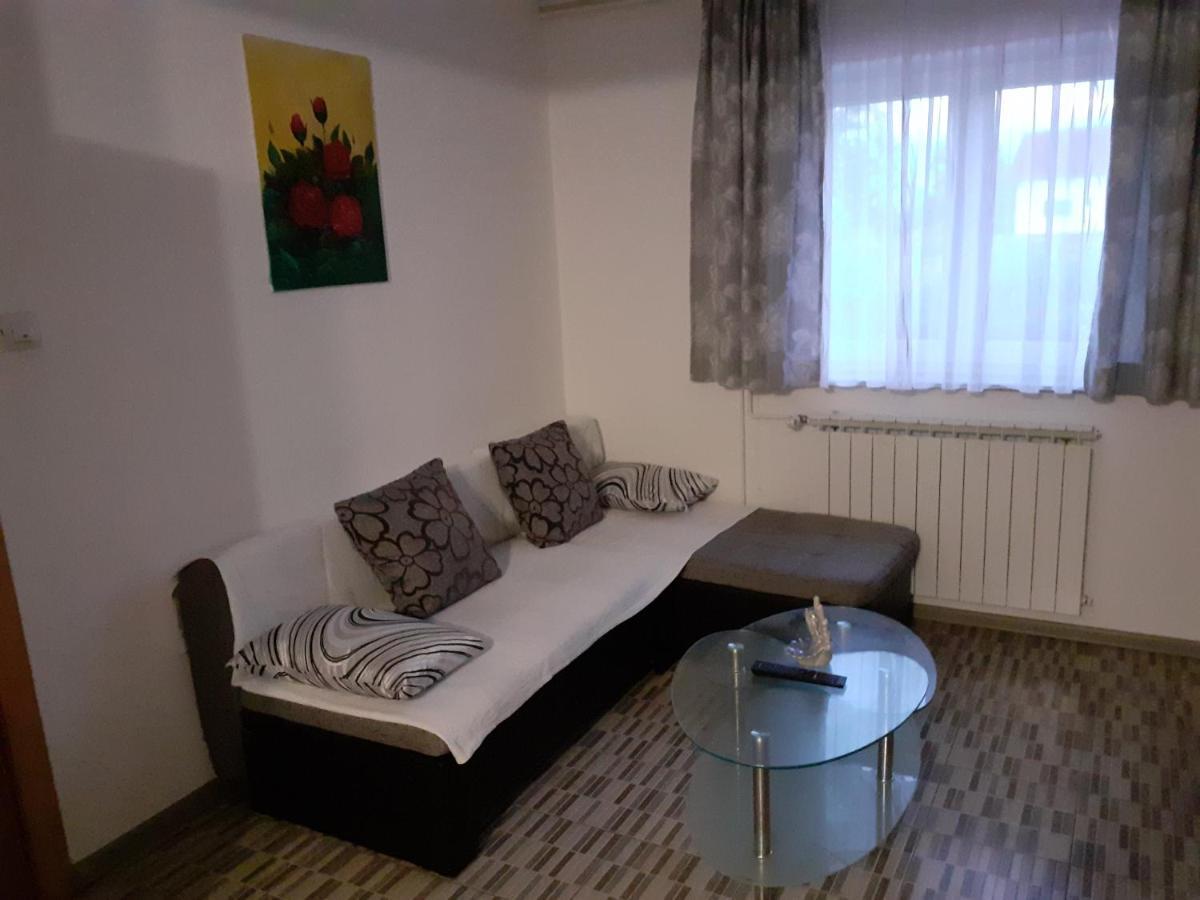 Guesthouse Blazenka Hodak Селиште-Дрежничко Экстерьер фото