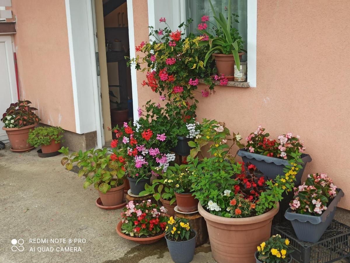 Guesthouse Blazenka Hodak Селиште-Дрежничко Экстерьер фото