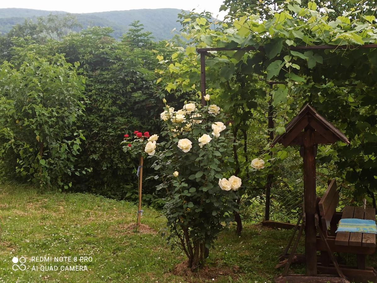 Guesthouse Blazenka Hodak Селиште-Дрежничко Экстерьер фото