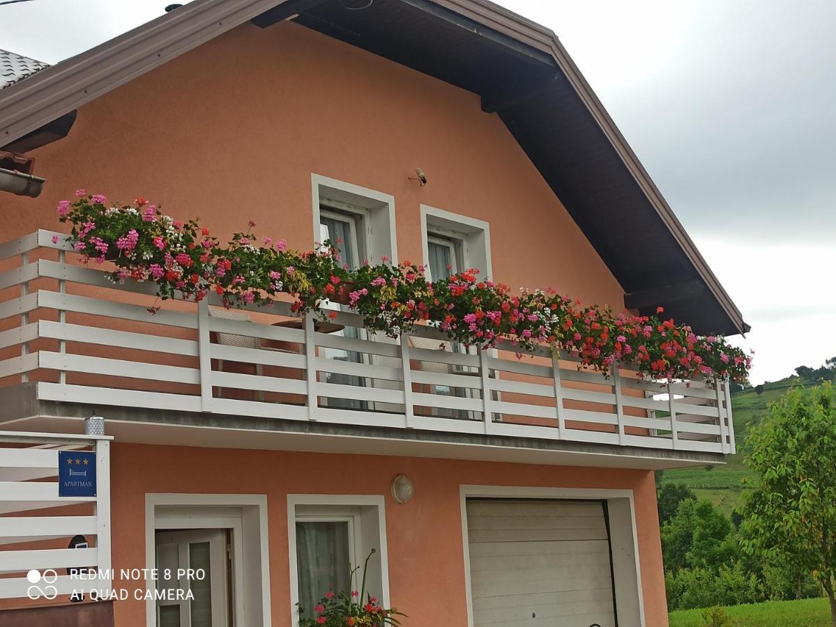 Guesthouse Blazenka Hodak Селиште-Дрежничко Экстерьер фото