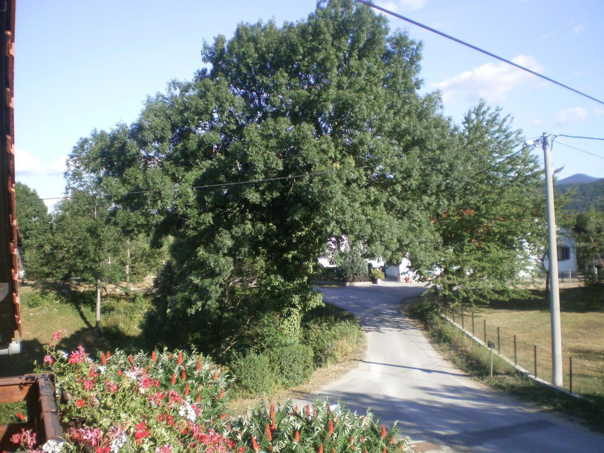 Guesthouse Blazenka Hodak Селиште-Дрежничко Экстерьер фото