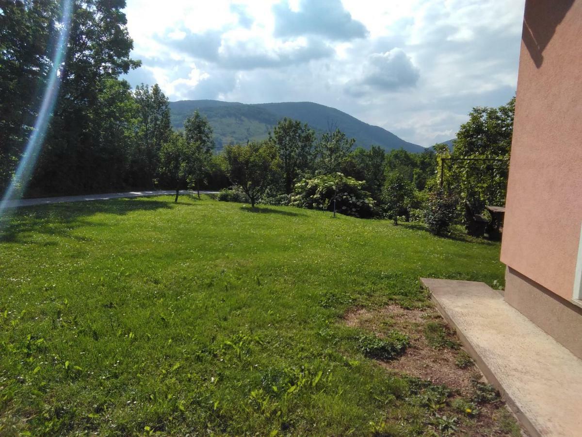 Guesthouse Blazenka Hodak Селиште-Дрежничко Экстерьер фото