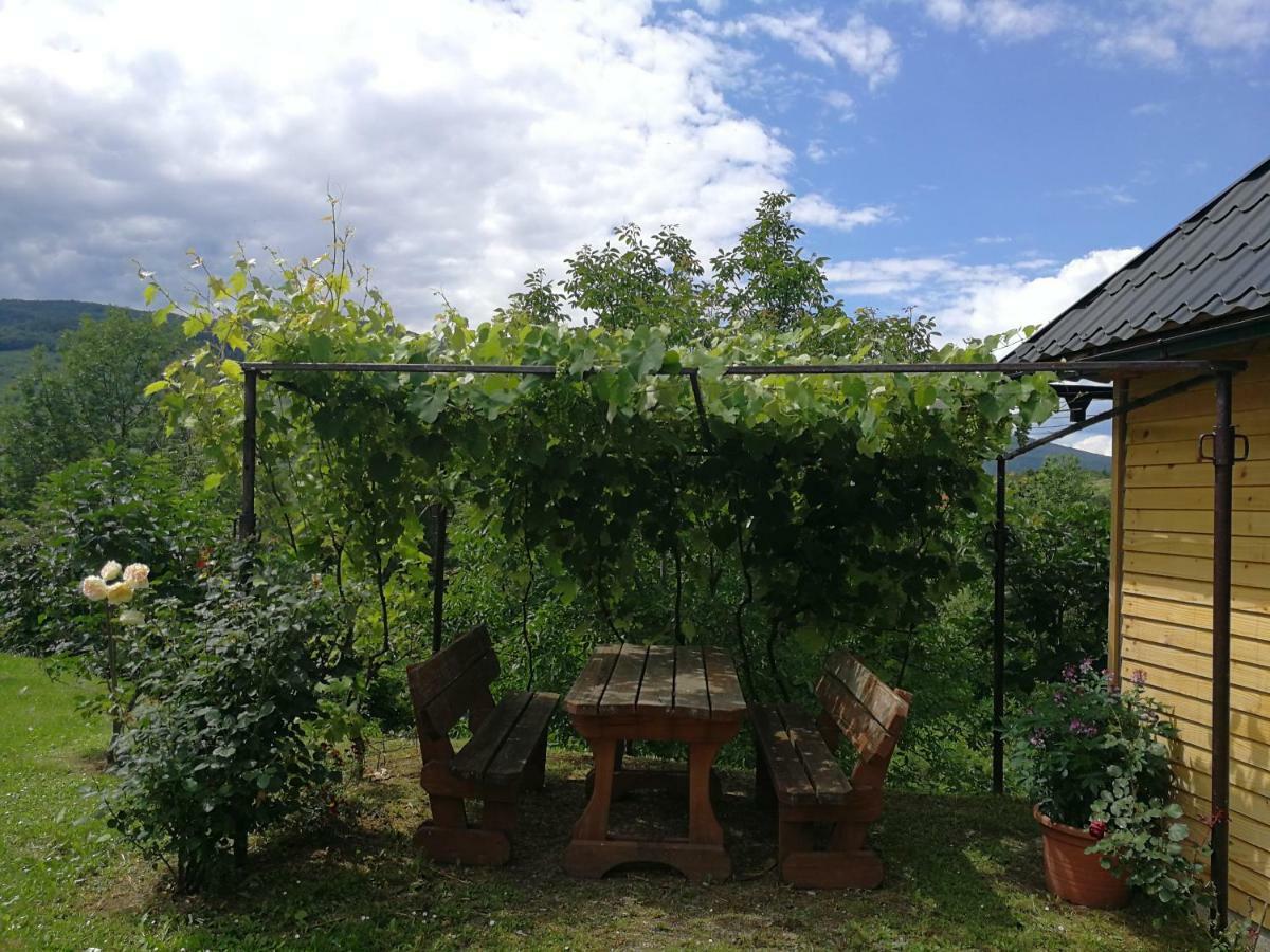 Guesthouse Blazenka Hodak Селиште-Дрежничко Экстерьер фото