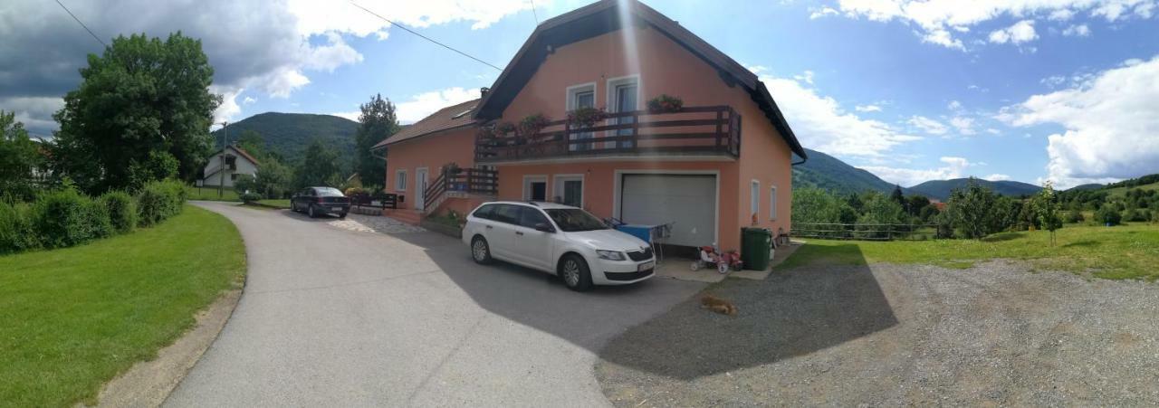Guesthouse Blazenka Hodak Селиште-Дрежничко Экстерьер фото