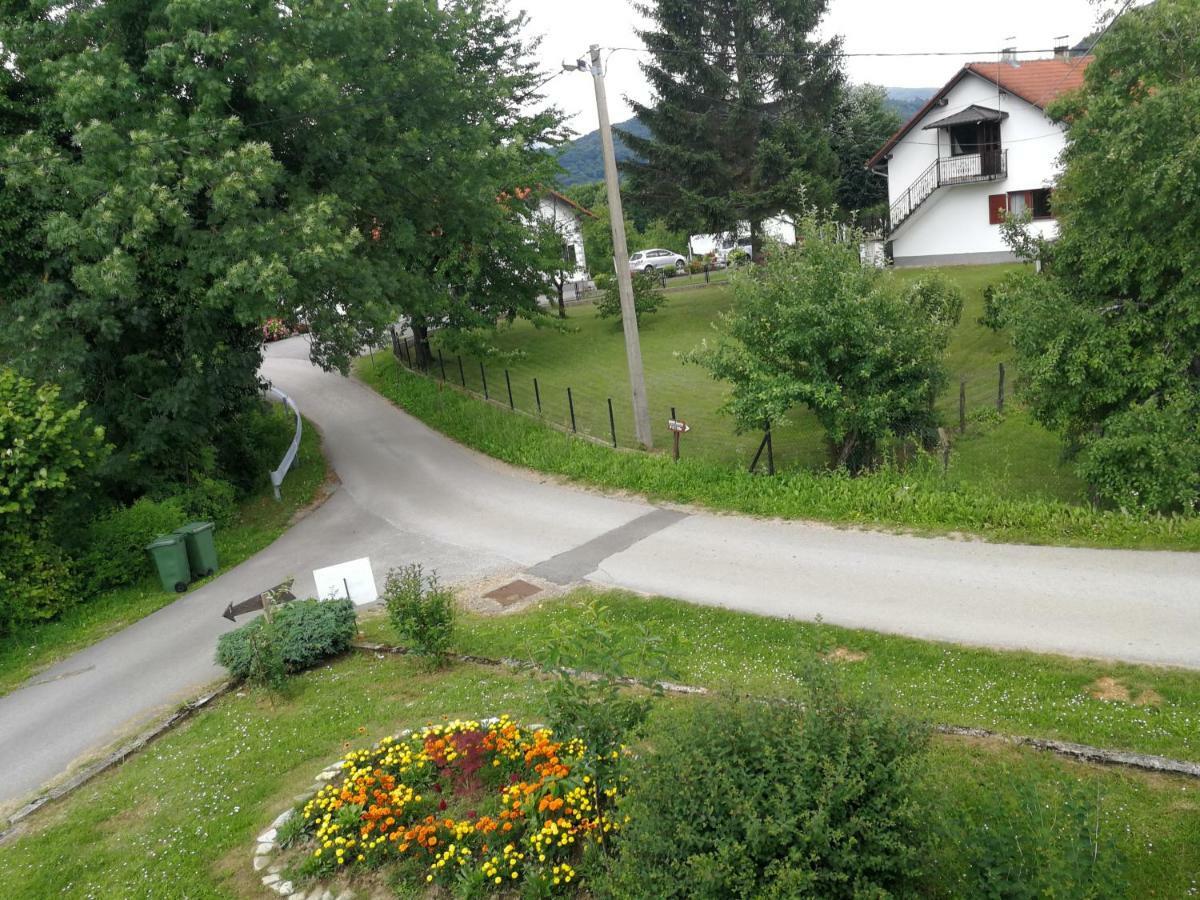 Guesthouse Blazenka Hodak Селиште-Дрежничко Экстерьер фото